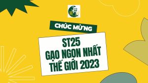 GẠO ÔNG CUA ST25 THƯỢNG HẠNG_Túi 5kg