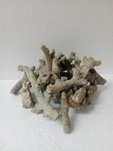 BATU AQUARIUM batu karang jahe kemasan /1kg