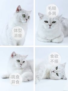 Viên bổ sung CÁC NGUYÊN TỐ VI LƯỢNG chó mèo giúp phát triển toàn diện khỏe mạnh