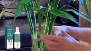 MoonSpry น้ำยาธาตุอาหารพืชไฮโดรโปนิกส์ ปุ๋ยน้ำสำหรับพืชในกระถาง สารอาหารสำหรับผักและไม้ไผ่แบบไฮโดรโปนิก