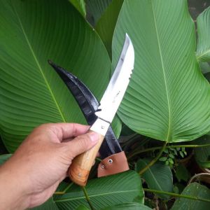 Pisau dapur Baja Alat Kupas Stek Pohon Alat Pertanian