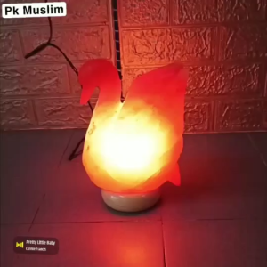 Duck Shape Natural Himalayan Salt Lamp Crystal Light Marble Base for Unique and Interesting Home Decoration