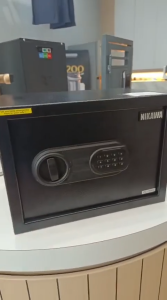 EAZEA S-250 Security Safe Box with Password and Mechanical Key (Safe)