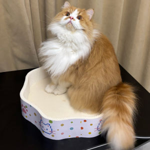 Teeker Pet Cat Scratch Cardboard with 2 in 1 Design Scratching Board Pad for Indoor Cats Kitty Kittens Scratch Lounge House Couch Furniture Protector Star Shape