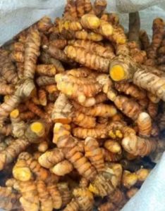 kunyit kuning segar 1kg dipetik ketika ada pesanan/kunir segar/kunyit segar