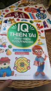 IQ thiên tài phát triển tư duy não bộ 2-3 tuổi (tái bản)