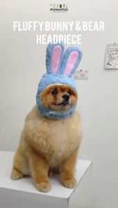 Fluffy Bunny & Bear Headpiece - Kostum Kucing dan Kostum Anjing POMAPOO Premium Berkualitas