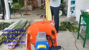 Máy băm chuối mịn motor 2hp Toàn Phát