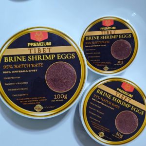 GOLDEN APEX TIBET BRINE SHRIMP EGGS - ARTEMIA CYST HATCHABLE 30g 50g 100g