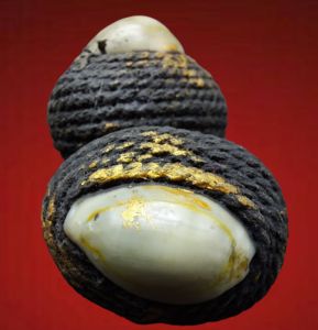 เบี้ยแก้ 2ห่วง หลวงปู่เจือ ปิยะสีโล วัดกลางบางแก้ว จังหวัดนครปฐม