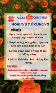 Viên Lẽ Tiêu Viêm Nữ Hoàng Sơn Kèm Gói Cốt Xông