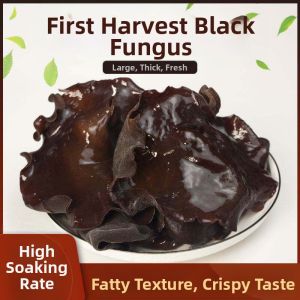 Northeast Dried Small Auricularia Non-dry Crisp Commercial