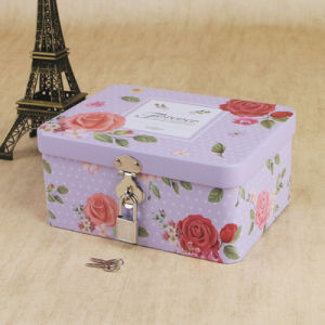 Large Capacity Rectangular Iron Box Storage Organizer for Cosmetics Miniature Horse Mouth Iron Box Exquisite Storage Solution