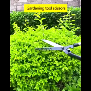 COD Garden Tools Gardening Scissors Flower Pruner Garden Shears Lawn Special Hedge Shears Pruning Branches for Plant Cutter