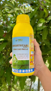 BRIGHSTAR 25SC-Paclobutrazol chai 1 lít