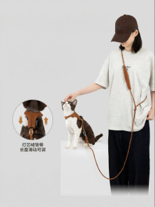 HiDREAM | Hands-Free Escape-Proof Cat Harness Lead