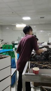 Kurma Ajwa Organik 1 Kg / Kurma Nabi Firs Class 100% Original Garansi
