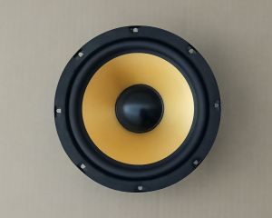 loa bass 20cm 4R