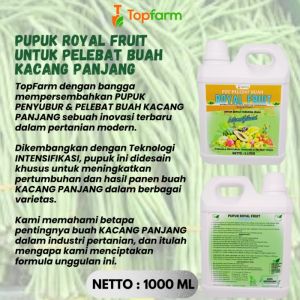 Pupuk Cair Kacang Panjang: Solusi Optimal untuk Petani