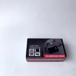 BERGARANSI Taffware Casan Cas Charger Aki motor dan Mobil 12 24 volt otomatis kering basah 20A LCD