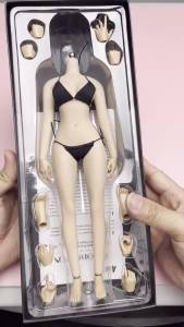 ANT T302 1/6 Scale Female Makeup Seamless Body 12 Large Breast Pale Normal Suntan Detachable Feet Steel Skeleton Action Figure