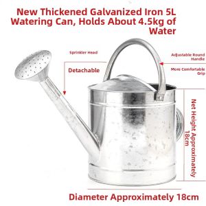 MEISITEKEKE | Stainless Steel Watering Can For Plants And Vegetables