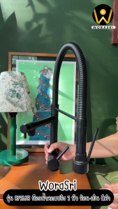 WoraSri BF263B ก๊อกน้ำคอสปริง 2 หัว น้ำร้อน-เย็น หมุน 360 องศา สแตนเลส 304 สีดำ ผิวด้าน 2 IN 1