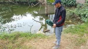 Ghế câu cá gấp gọn có tay vịn  Khung hợp kim dễ gấp gọn có tay vịn và tựa lưng cao phù hợp cho các hoạt động ngoài trời như câu cá cắm trại.