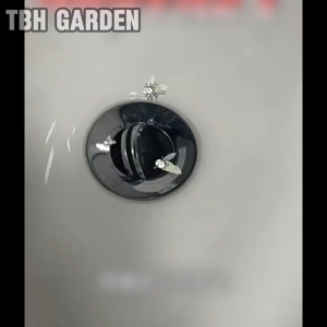 Moth flies toilet drains drain fly drains pesticides Drain flies killer together Sewer Pest Insecticide 500ML drains pesticides household moth flies fly killer 下水道小飞虫灭杀神器 pest control products ubat lalat other pest controls 杀虫剂 fly trap fly repellent