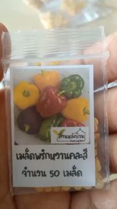 50 เมล็ด พริกหวาน คละสี หลังจากราคา 50 เมล็ด พริกหวาน พริกหวาน พริกหวานสีม่วง พริกหวานสีเหลือง พริกหวานสีส้ม