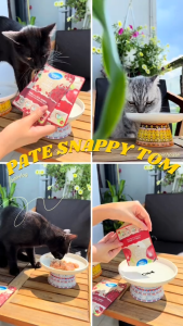 Pate Snappy Tom Trái Cây Bổ Sung Thêm Chất Xơ Cho Mèo Với 8 Vị Trái Cây Khó Cưỡng Gói 70gr