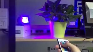 Lampu Sorot LED RGB 10w/20w/30w/50/100W Model Besar Warna Warni Outdoor Taman - Hemat Energi (EXPORT)