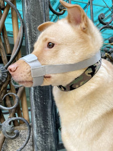 Dog Mouth Cover Anti-Bite Eating Mask Prevent Crying Small Medium Large Puppy Mouth Cover Anti-Loose Short Mouth Pet Mask