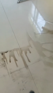 Household Floor Scraper Broom EVA Foam Blade for Shower Tile Floor Surface Cleaning Pet Hair