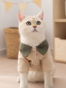 hipidog | Hair Fall Resistant Warm Cat Clothes