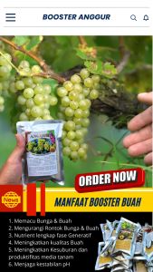 Pupuk Booster Anggur / Pupuk Booster Hayati Khusus Tanaman Anggur