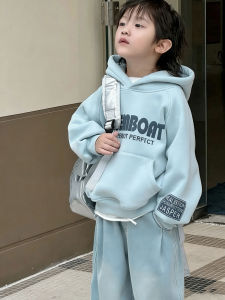 Thickened Fleece Hoodie for Boys Trendy Casual Style Long Sleeve Comfortable Loose Fit Autumn Spring Season Polyester Fiber