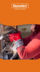 Nanovet No Rinse Waterless Pet Foam Shampoo (200ml)