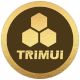 Trimui Gaming