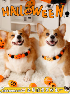 Halloween Pet Collar Pumpkin Shape Dog Necklace Small Medium Size Corgi Bichon Neck Ring Cat Accessories Pet Travel Supplies