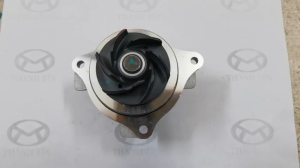 Bơm nước động cơ MG ZS (Bản Thái) (Bản Trung) 2020-