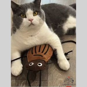 Luka😊พร้อมส่ง💯 ตุ๊กตาแมลงสาบ แคทนิป บรรเทาความเครียดของแมว  ของเล่นสัตว์เลี้ยง ของเล่นแมว