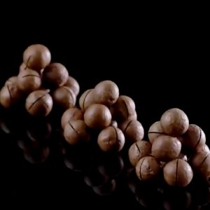 Mr.Squirrel macadamia nuts 500g  Healthy Food creamy nuts macadamia nuts roasted and dried fruit snacks wholesale