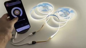 Tuya Zigbee 24V FCOB CCT LED Light Strip 608LEDs High Density Flexible Led Light 3000K To 6000K Linear Dimmable for Alexa Google