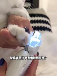 LED Pet Nail Clippers Dog Cat Bloodline Indicator Safety Guard Stainless Steel Blade USB Rechargeable Low Noise Grooming Tool