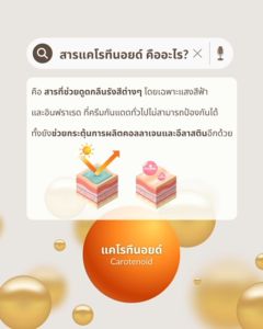 วิตามินกันแดด กันแดดกินได้ กินแล้วยัง สำหรับผิว แผ่น มิกซ์ แคโรทีนอยด์