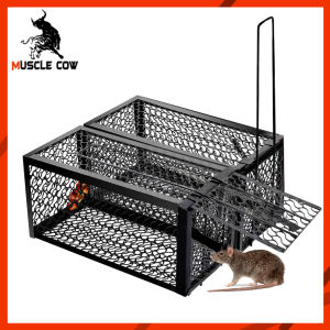 กรงดักหนูสปริง 2ตัว กรงดักหนู กรงดักหนูแบบมีโครง กรงดักหนูสปริงคู่ กรงดักหนูนา กรงดักหนูเล็ก