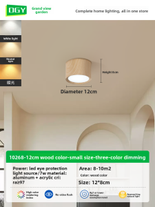 DGY | No-hole Installation Aluminium Material Full Spectrum Downlight R335
