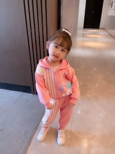 ชุดเสื้อฮู้ดแขนยาวและกางเกงขายาวสำหรับฤดูใบไม้ร่วงสำหรับเด็ก 2ชิ้น