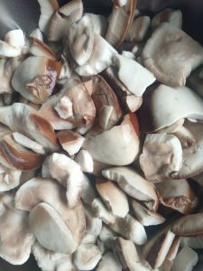 jual buah picung buah kulewek sudah dikupas musiman selagi ada segara order siap untuk dimasak 500 gram